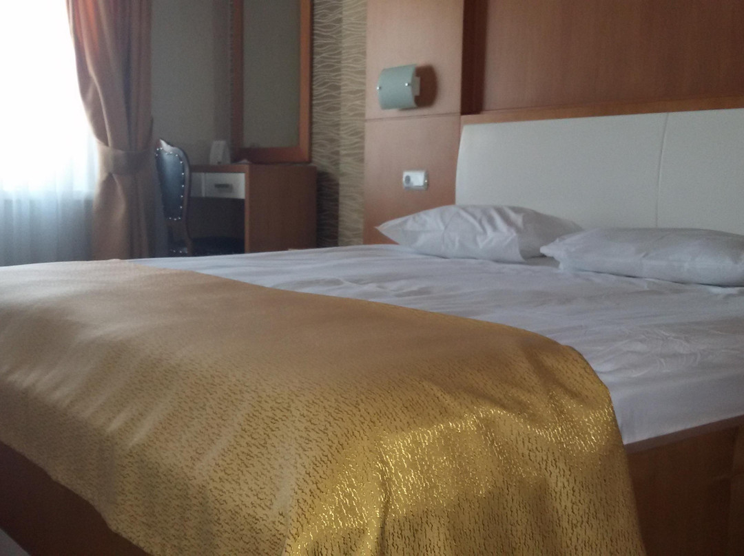 Basak Termal Hotel主图