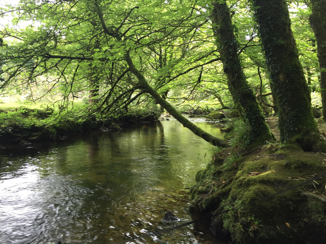 Golitha Falls-利斯卡德必去景点