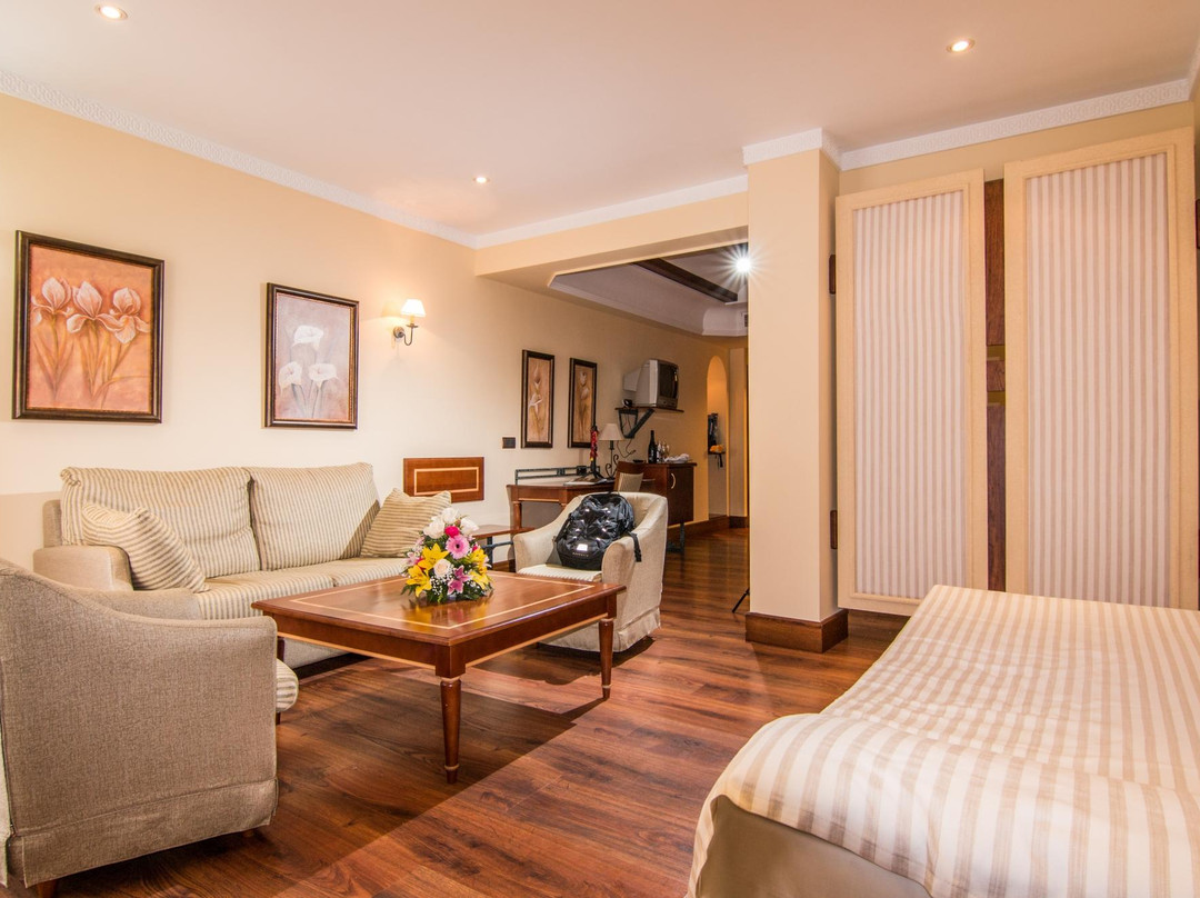 Guadix酒店住宿-Hotel Abades Guadix