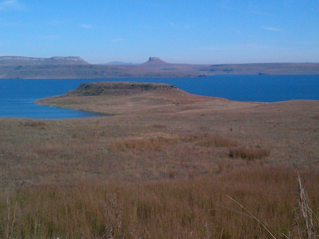 Sterkfontein Dam Nature Reserve-哈利史密斯必去景点