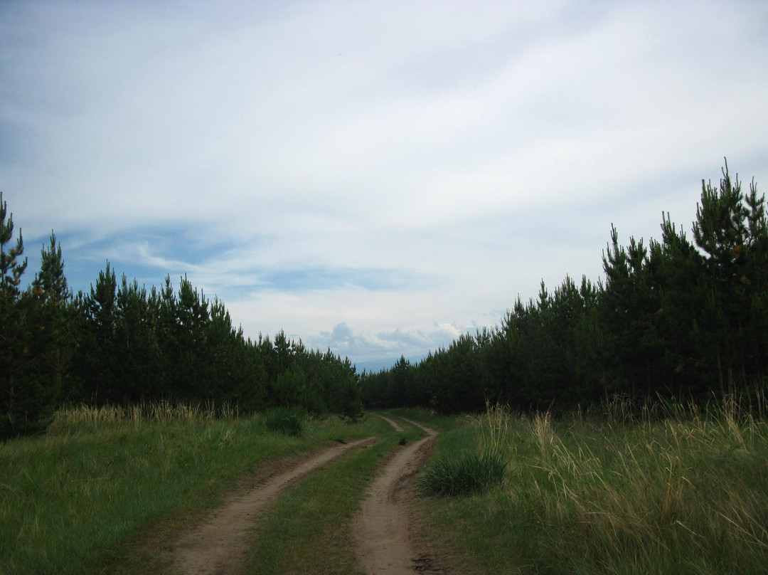 Natural Park Smirnovskiy Forest景点图片