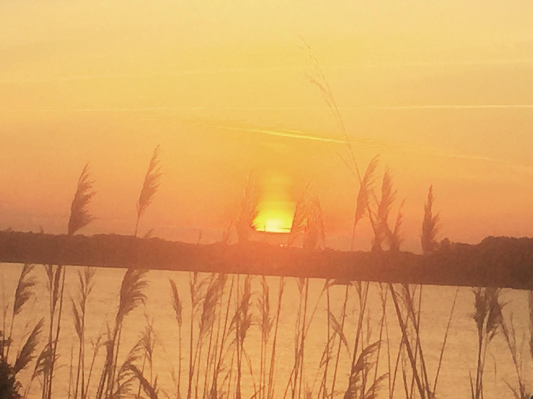 Fenwick Island State Park-Fenwick Island必去景点