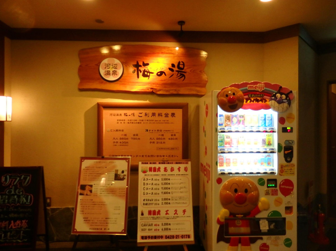 Kabeonsen Umenoyu-青梅市必去景点