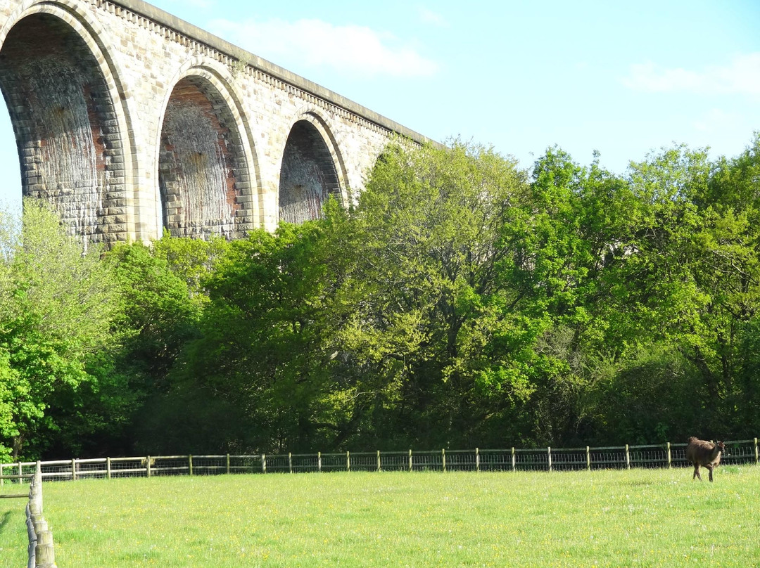 Ty Mawr Country Park景点图片