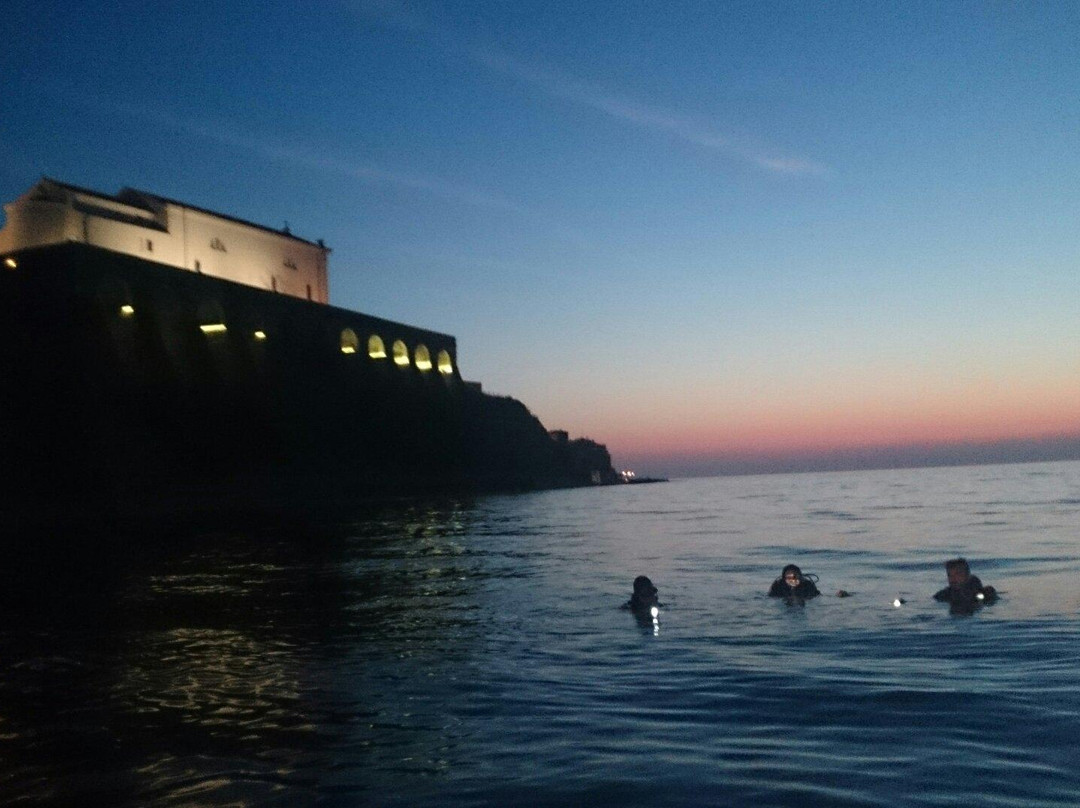 Divestrong-波多若斯必去景点