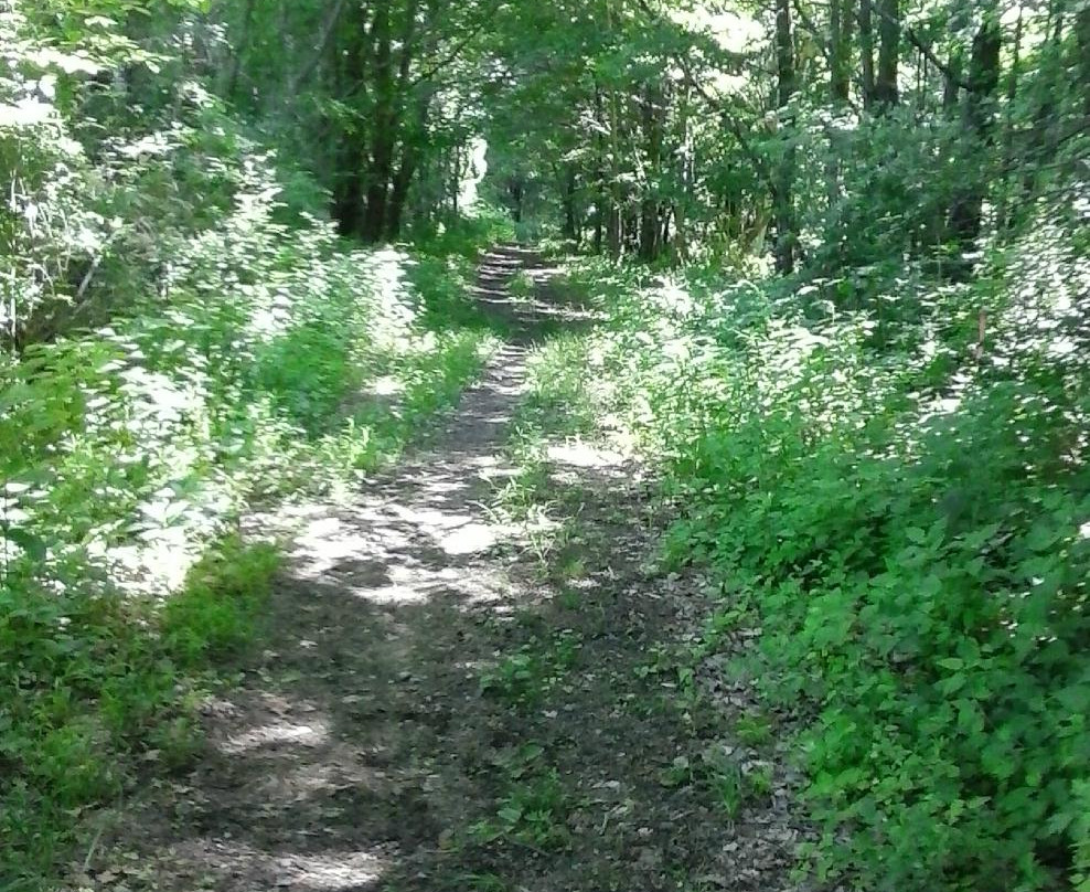 Airline State Park Trail-Pomfret必去景点