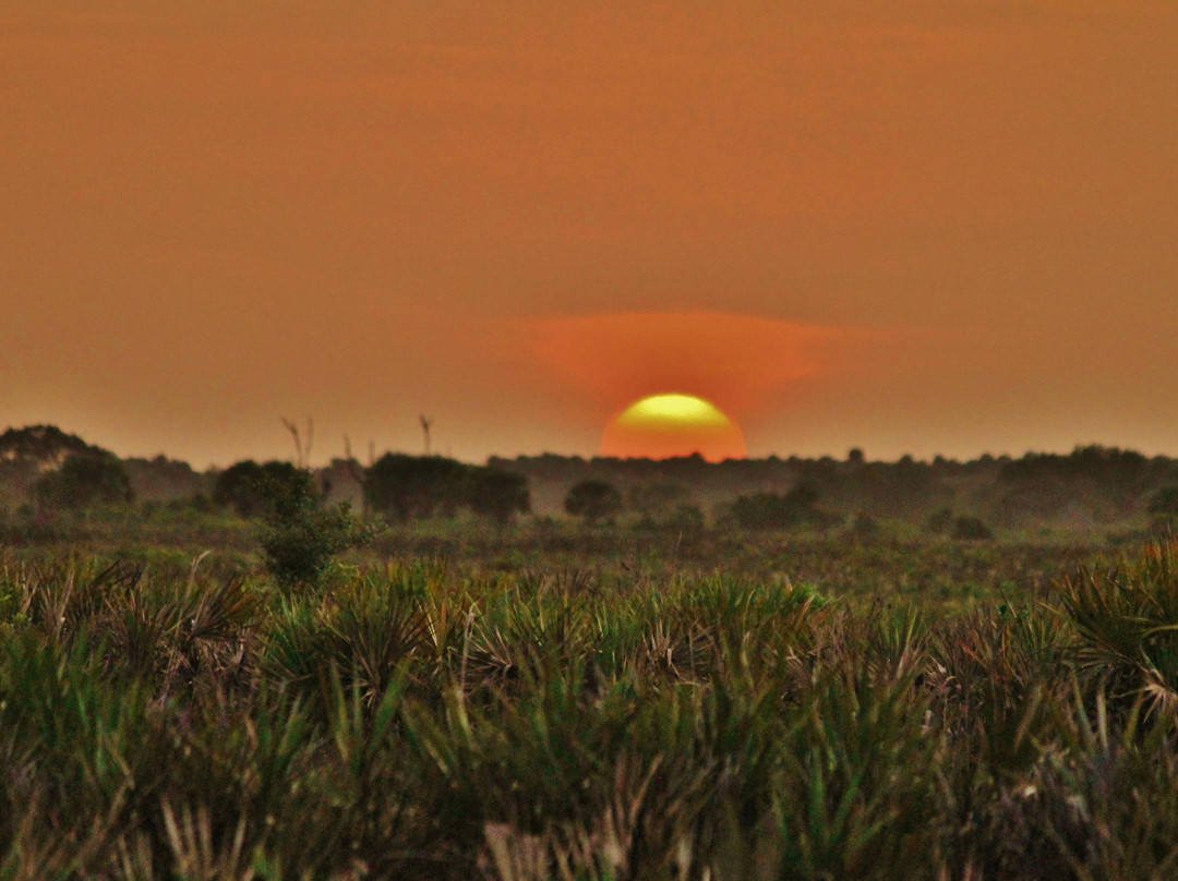 Kissimmee Prairie Preserve State Park-奥基乔比必去景点