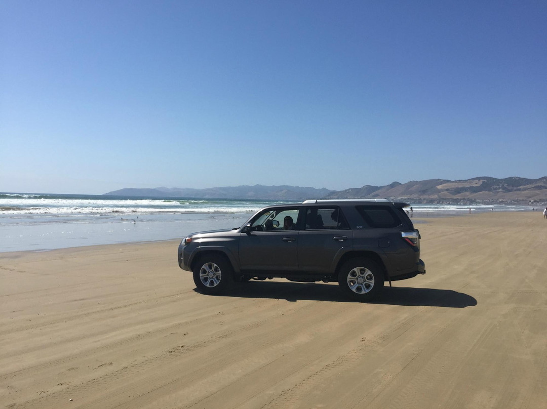 Pismo State Beach景点图片