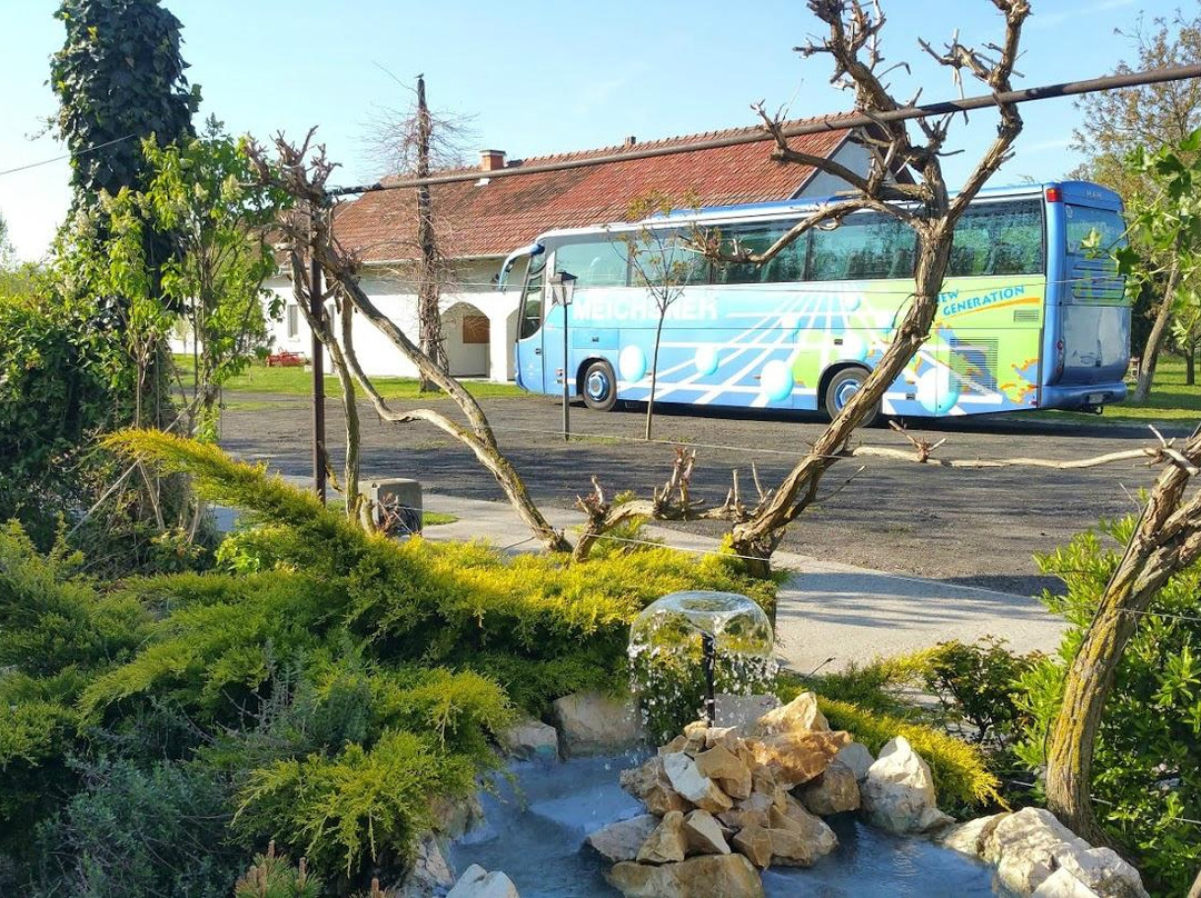 Forro Fogado Restaurant Pension Camping主图