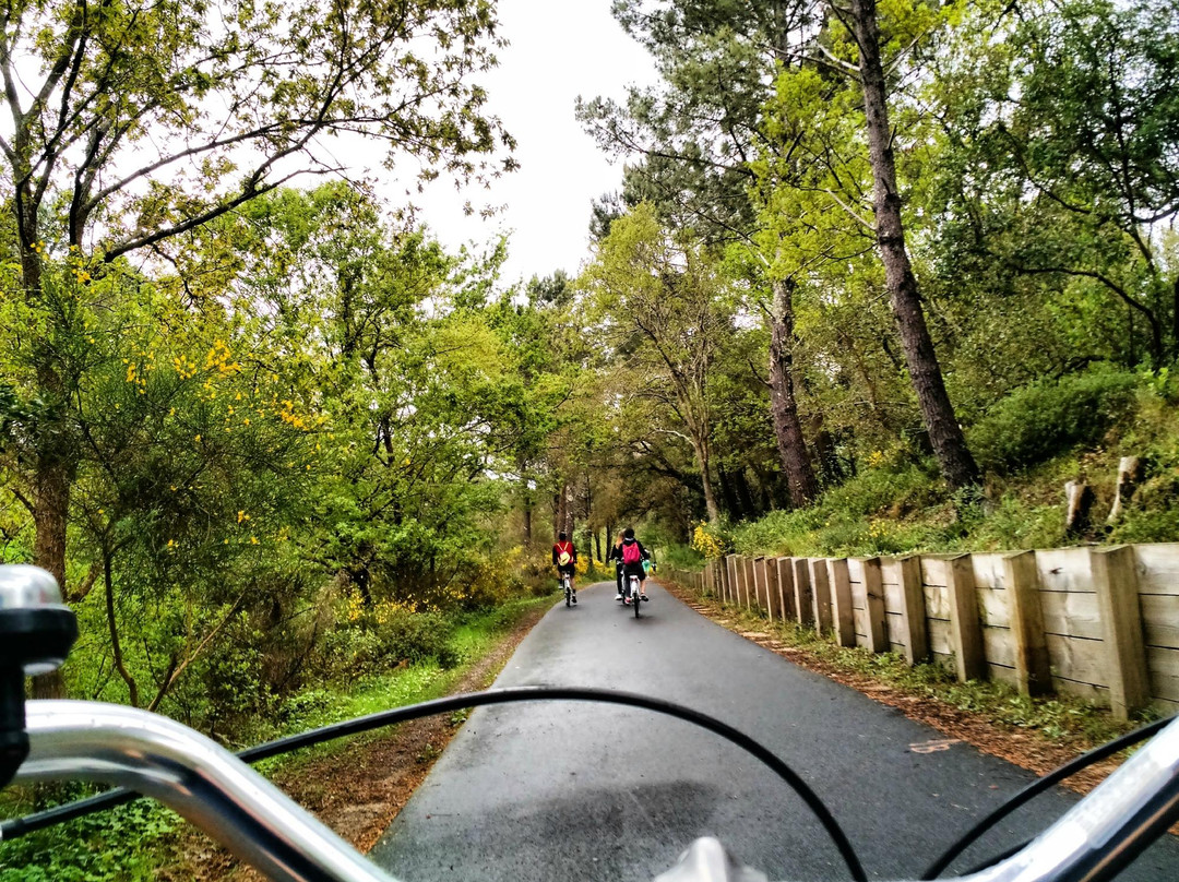 Cyclescapade-Labenne必去景点