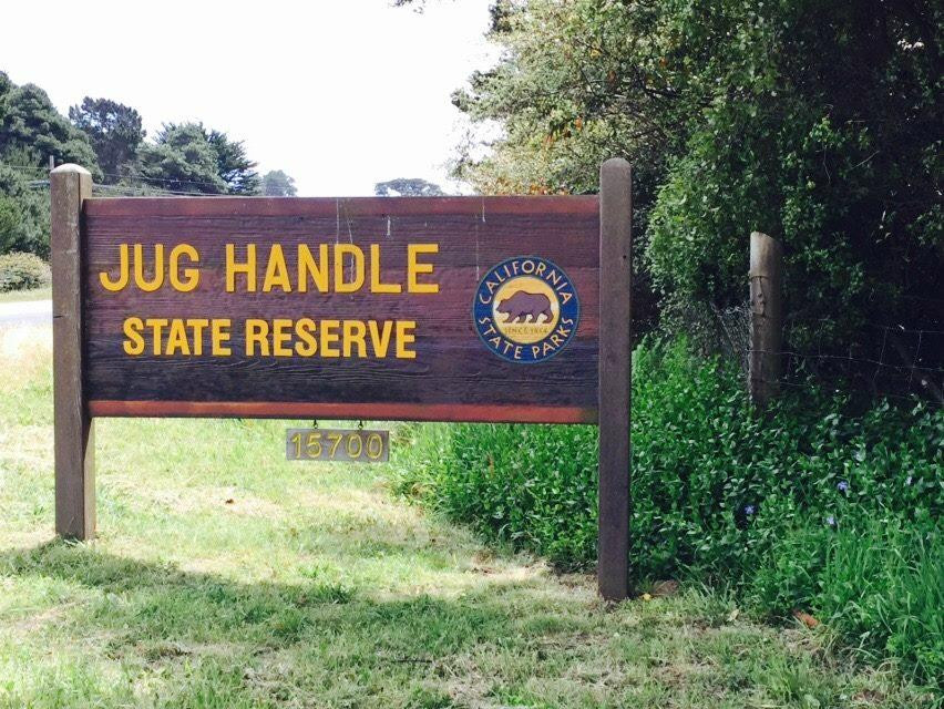 Jughandle State Reserve景点图片