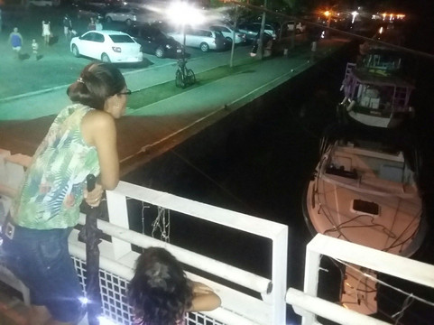 Ponte Paulo Dias Carvalho Mendonça-帕拉地必去景点