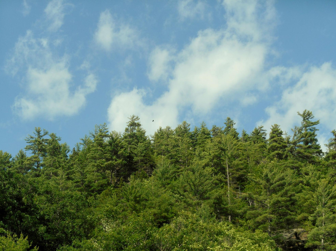 Jamaica State Park-Jamaica必去景点