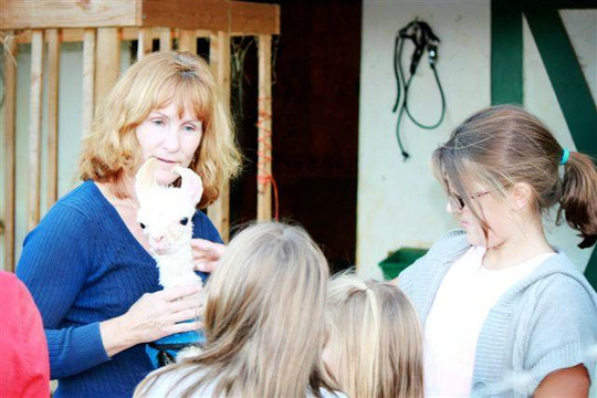 Thunder River Alpacas-Dillsburg必去景点