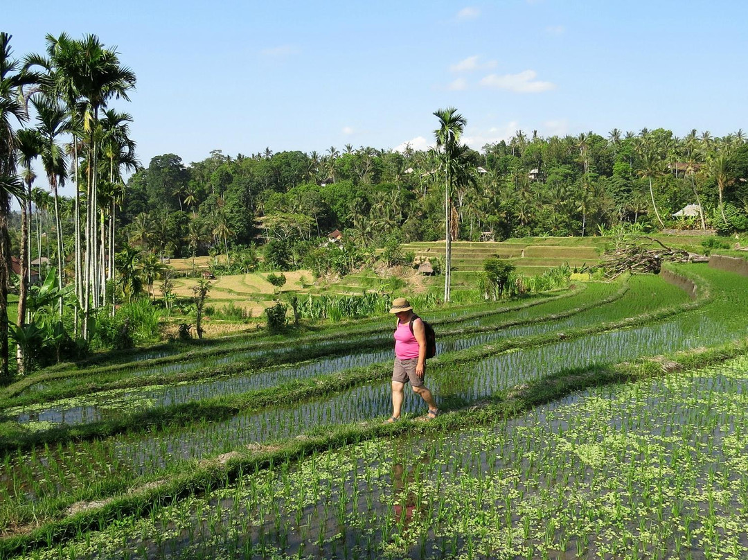 Pondok Lembah Dukuh Homestay主图