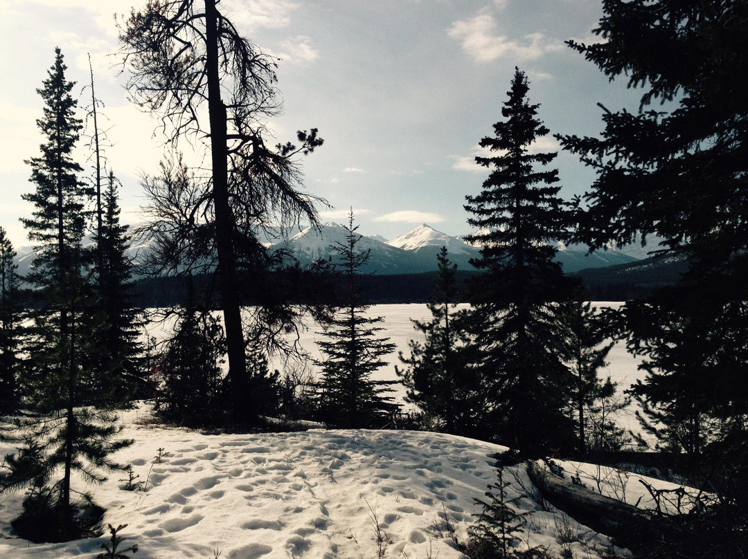 派翠西亚和金字塔湖-贾斯珀必去景点