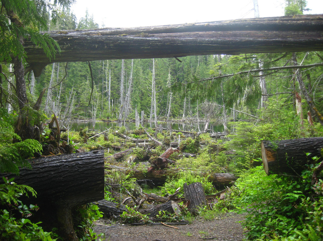 Spirit Lake Trail-Skidegate必去景点