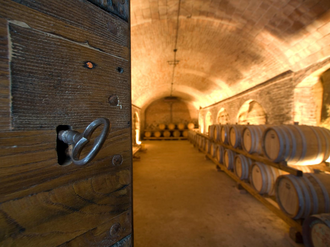 Azienda Agricola Castelvecchio主图