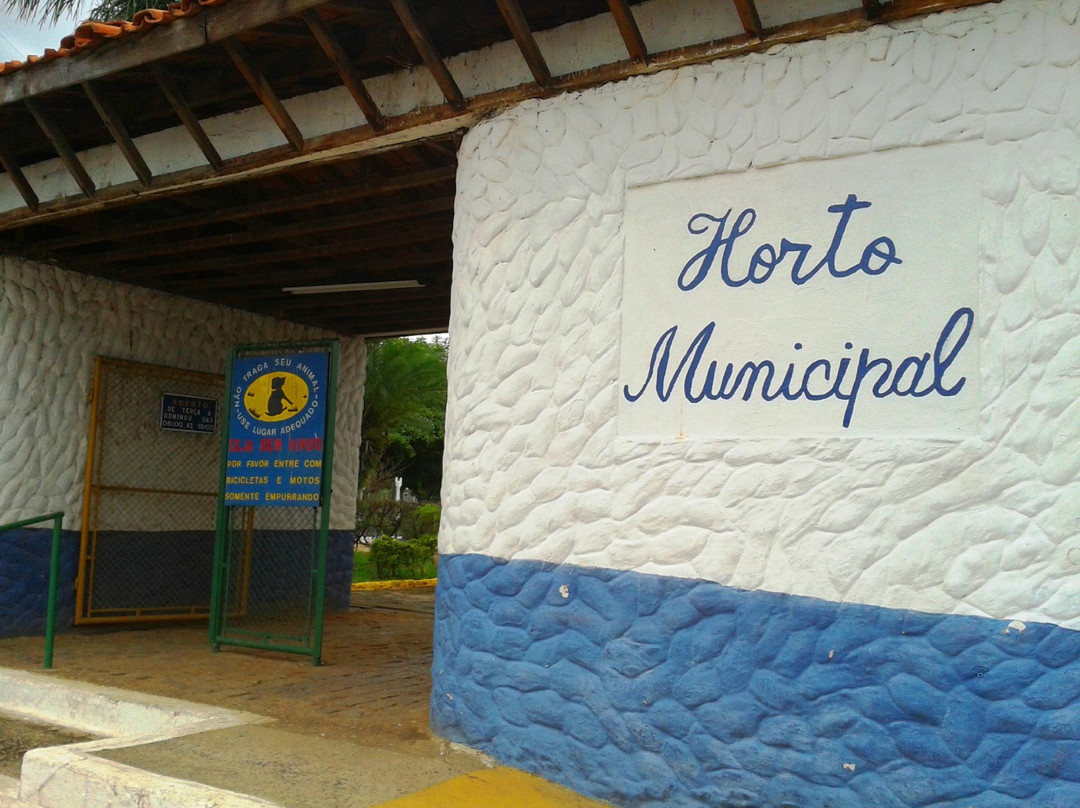 Horto Municipal Renato Correia Penna景点图片