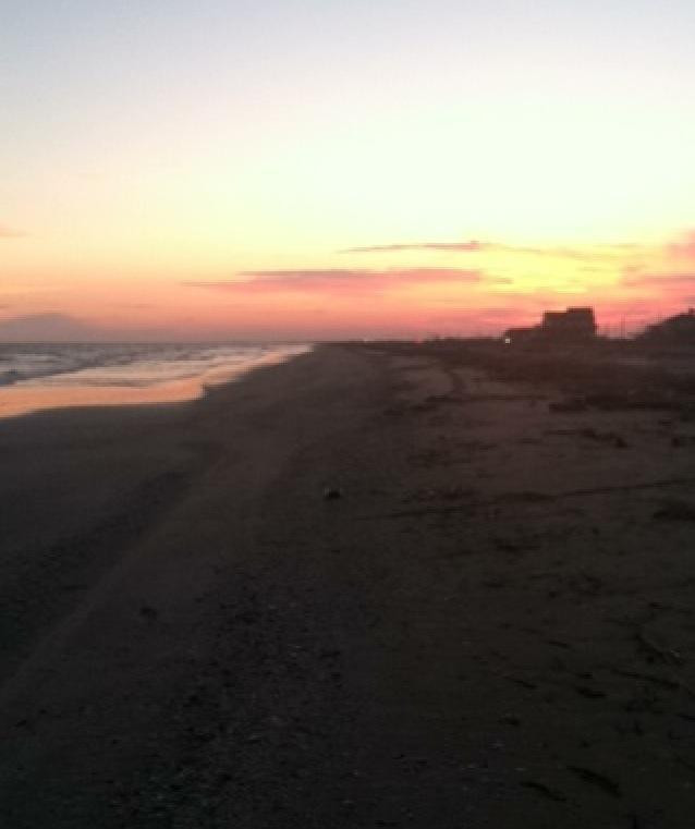 Holly Beach-Cameron必去景点