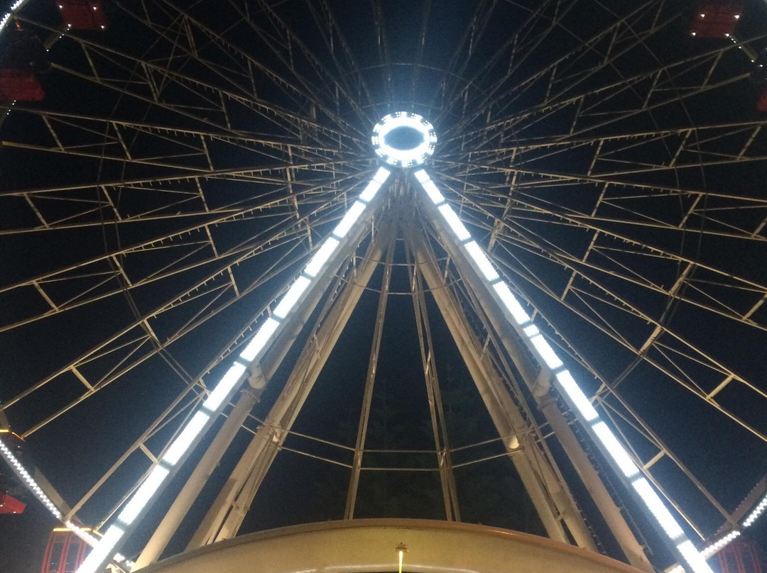 Tourist Wheel Fremantle景点图片