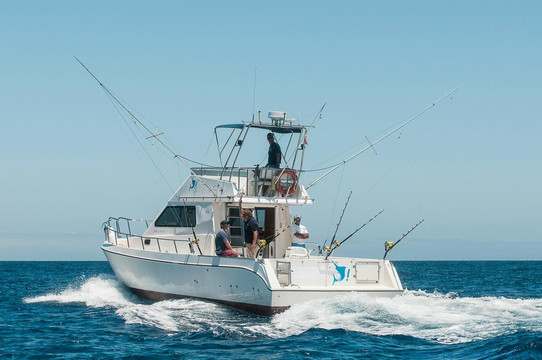 Fish On-San Bartolome de Tirajana必去景点