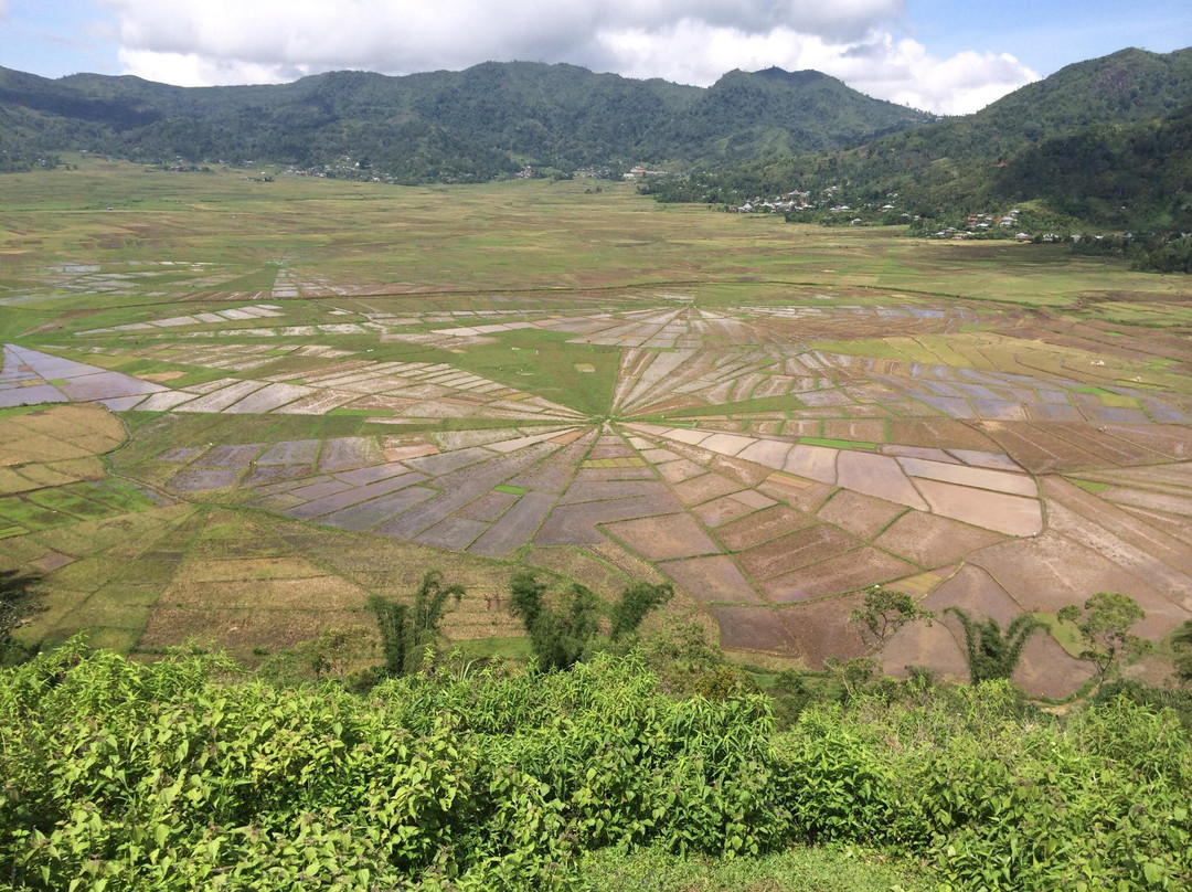 Lingko Spider Web Rice Fields - Walking Tours景点图片