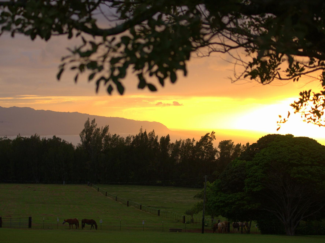 Sunset Ranch-哈雷瓦必去景点