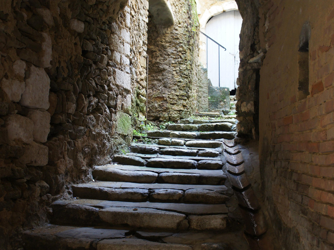 Château de Saint-Montan景点图片