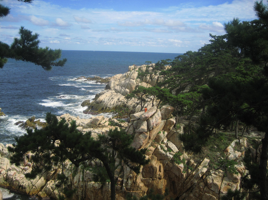 Daewangam Park-蔚山必去景点