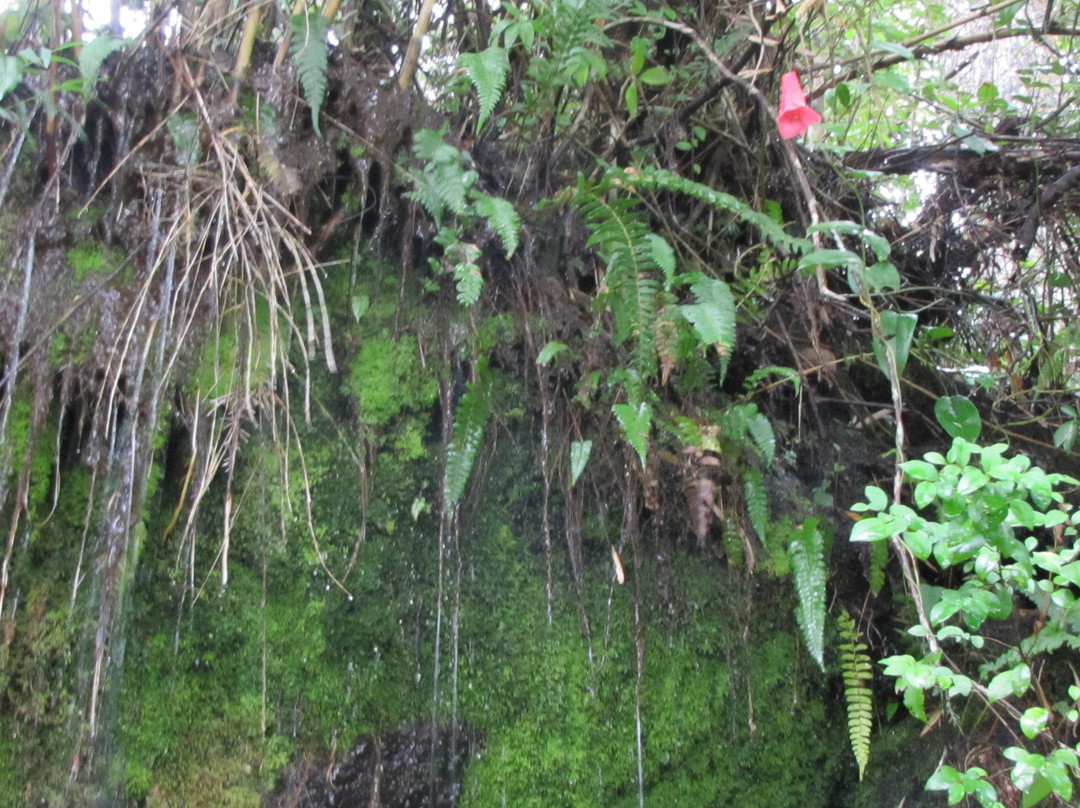 Parque Saltos del Mariman-普孔必去景点