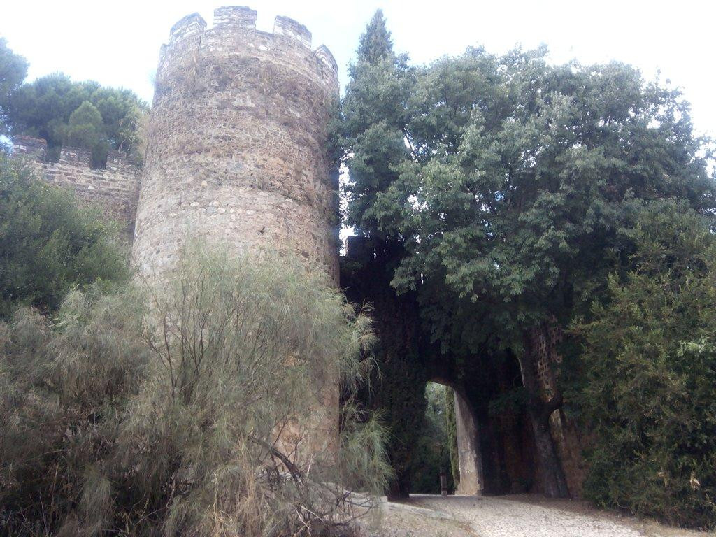 Castle of Vila Viçosa-Vila Vicosa必去景点