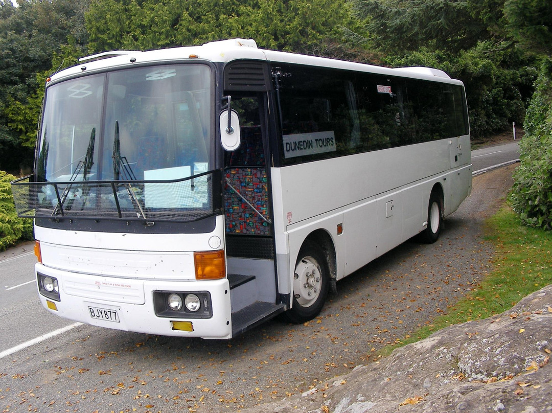 Exploring New Zealand-Port Chalmers必去景点