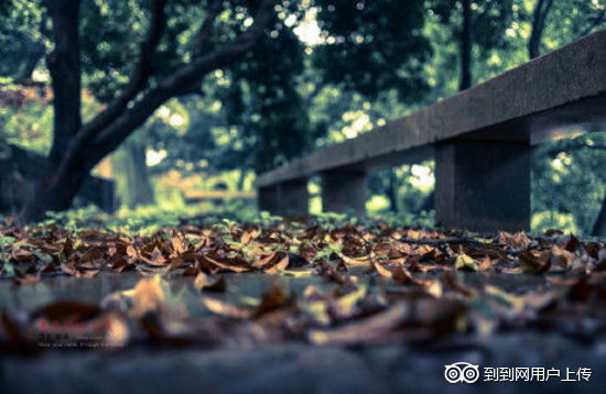 杭州满觉陇-杭州市必去景点