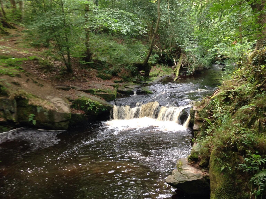 Rivelin Valley Nature Trail-谢菲尔德必去景点