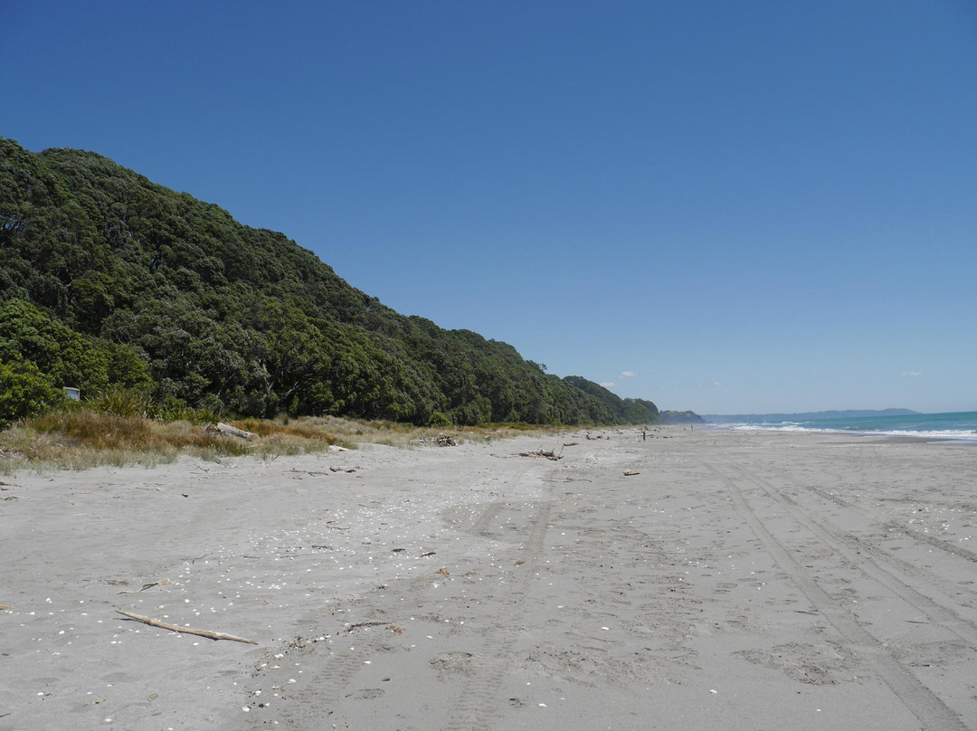 Waiotahe Beach景点图片