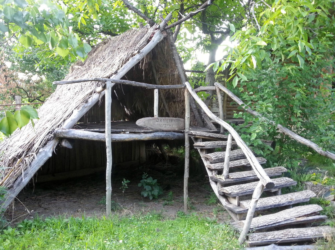 Agru Pensiunea主图