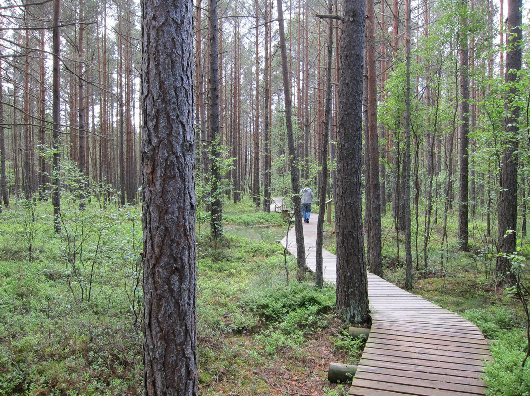 Haademeeste旅游攻略图片