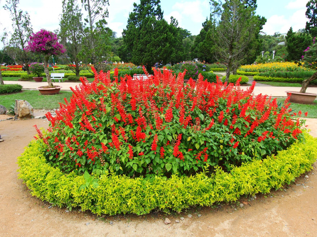 大叻花园-大勒必去景点