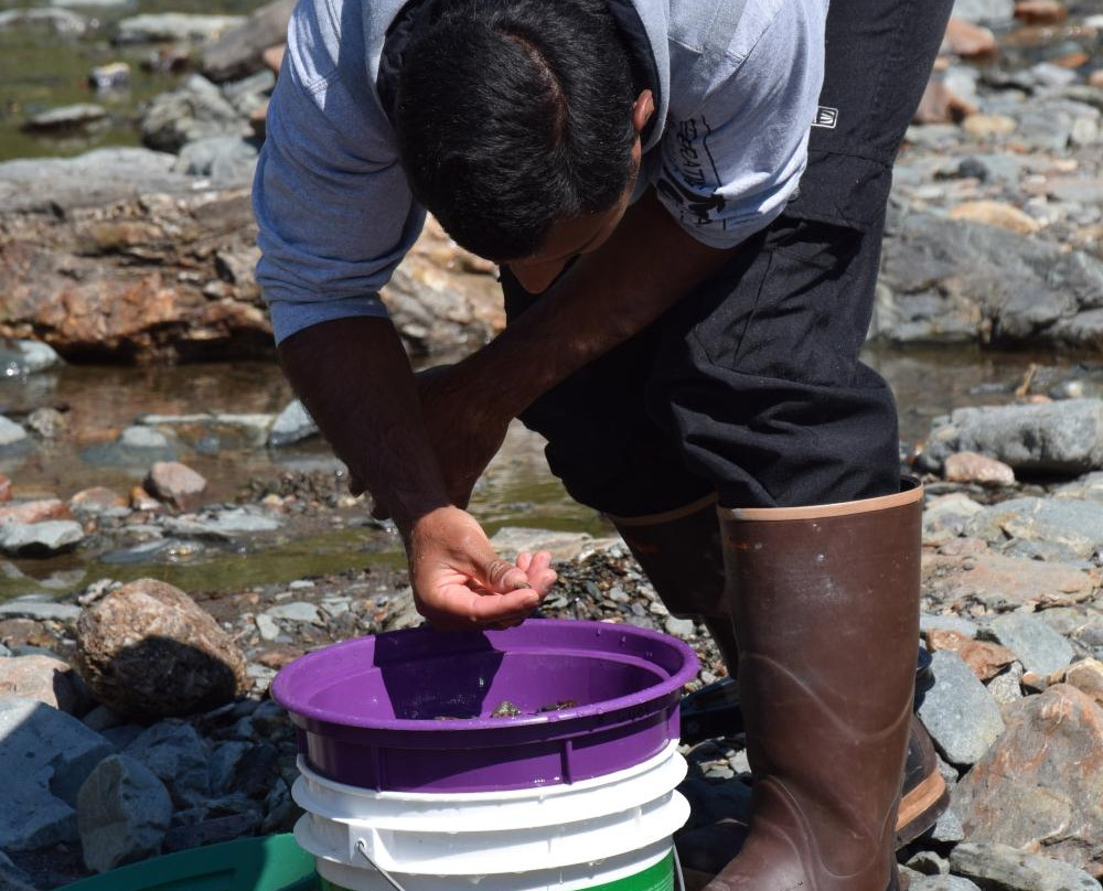 Perseverance National Recreation Trail-朱诺必去景点