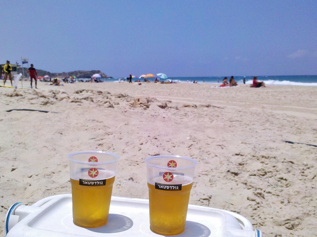 Palmahim Beach National Park-Rishon Lezion必去景点