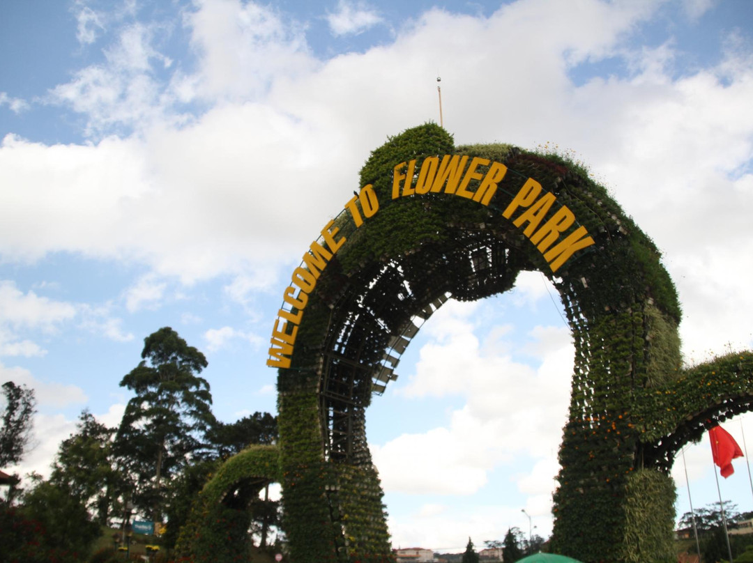 大叻花园-大勒必去景点