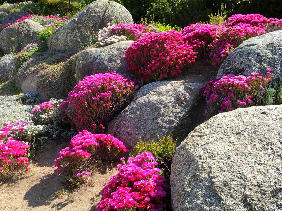 Ile Rousse旅游景点-Parc de Saleccia