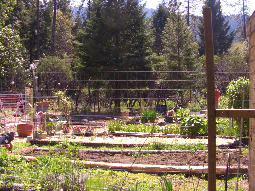 Redwoods and Rivers-Big Bar必去景点