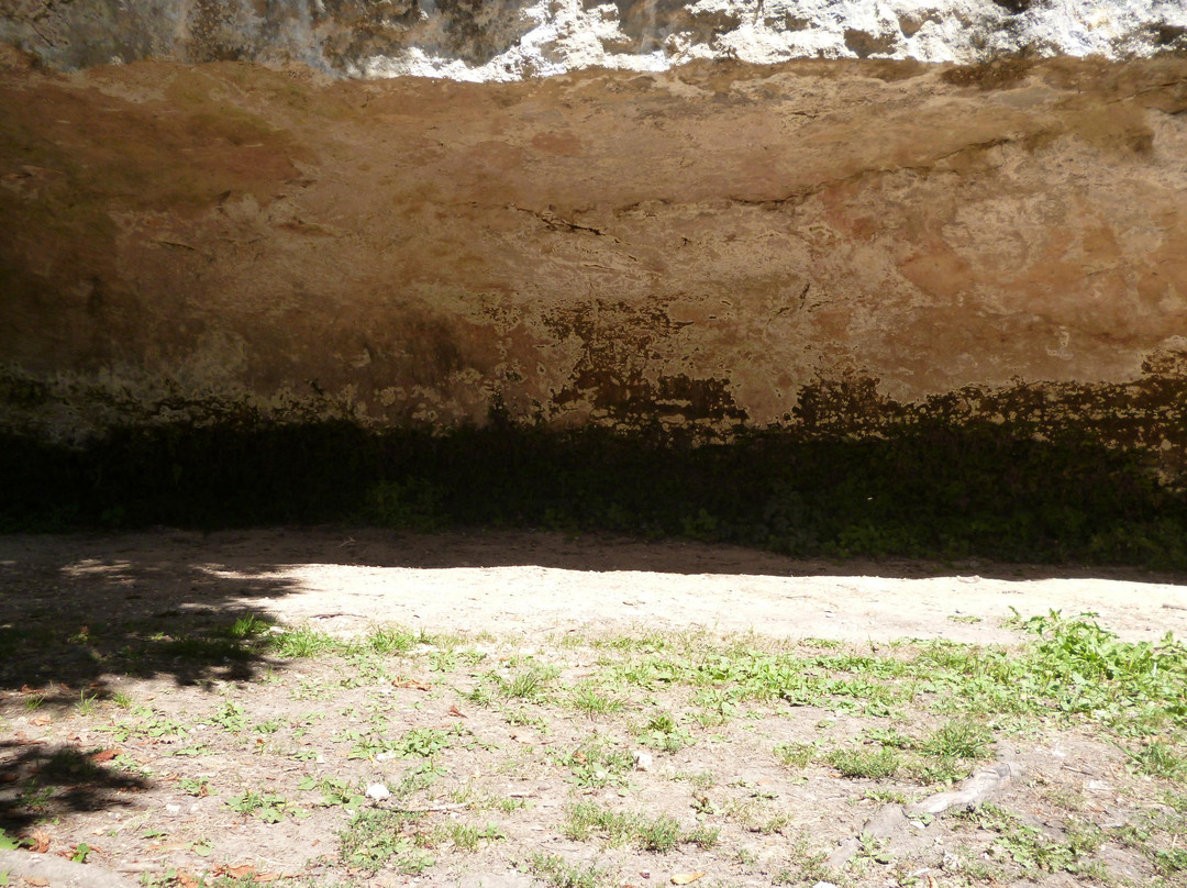 L'Abri Cro-Magnon景点图片