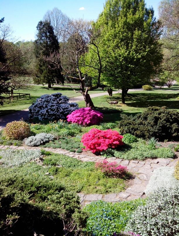 Botanischer Garten Solingen景点图片