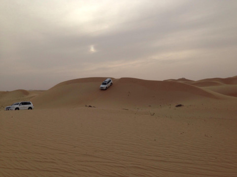 Desert Rose Tourism-阿布扎比必去景点