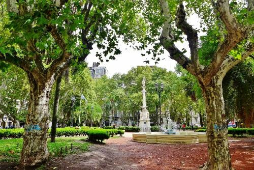 Plaza 25 de Mayo景点图片