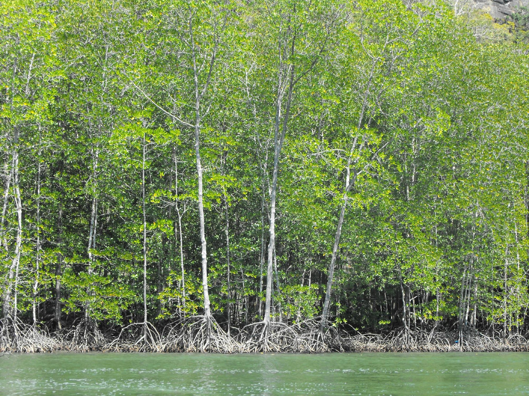 兰卡威国家地质公园-瓜镇必去景点