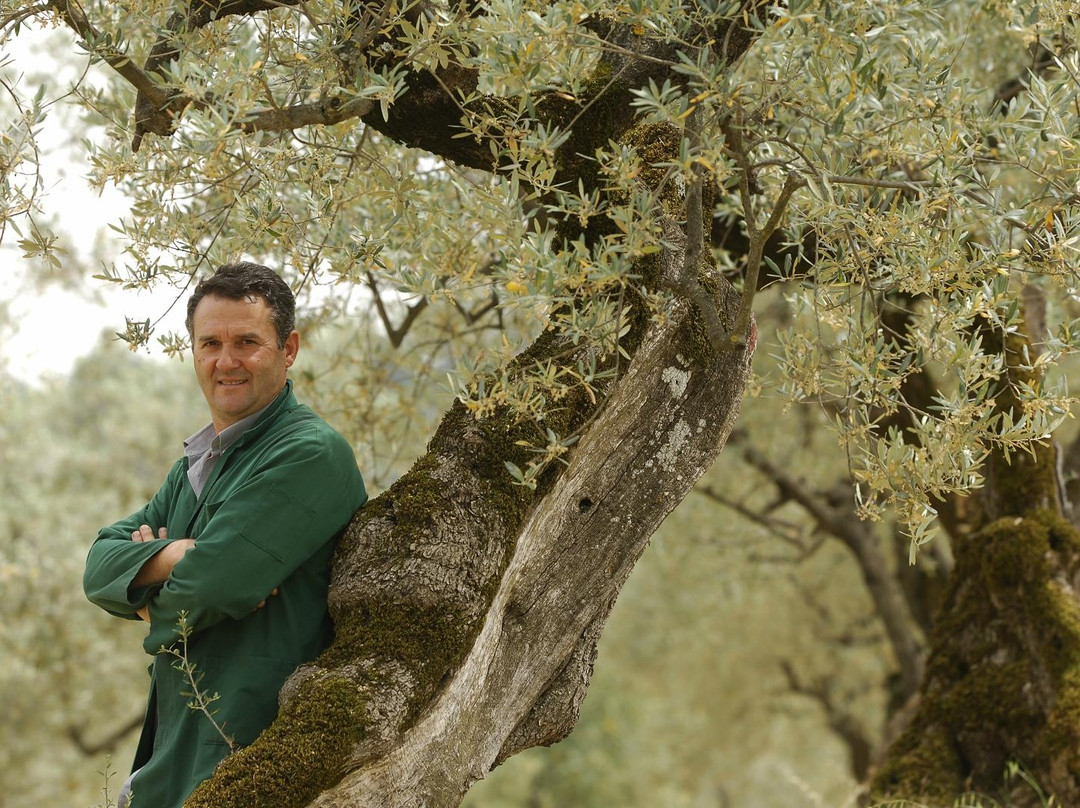 Azienda Agraria e Frantoio Ronci-Bevagna必去景点